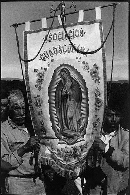A Long Journey to Guadalupe 1996 official movie poster