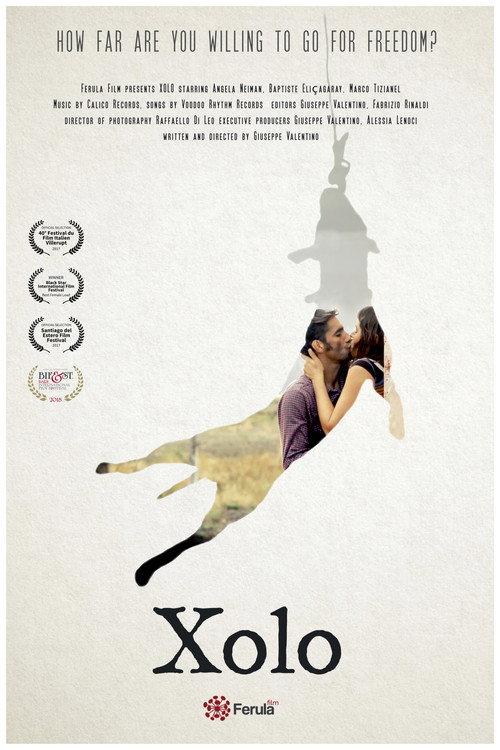 Xolo 2017 official movie poster