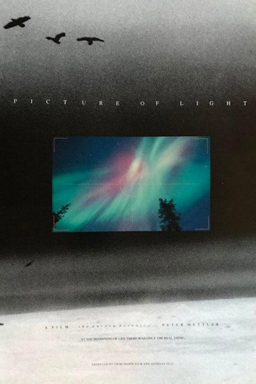 Picture of Light 1994 official movie poster