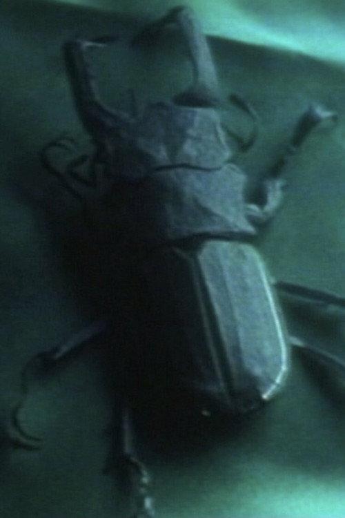 Entomologist 1995 official movie poster