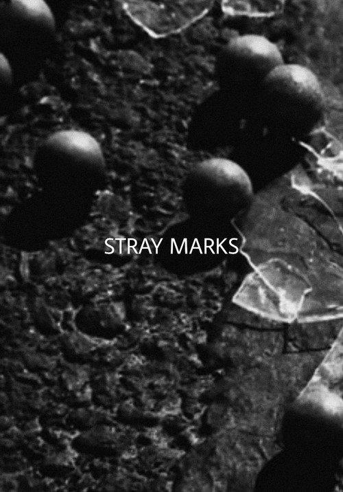 Stray Marks 2016 official movie poster