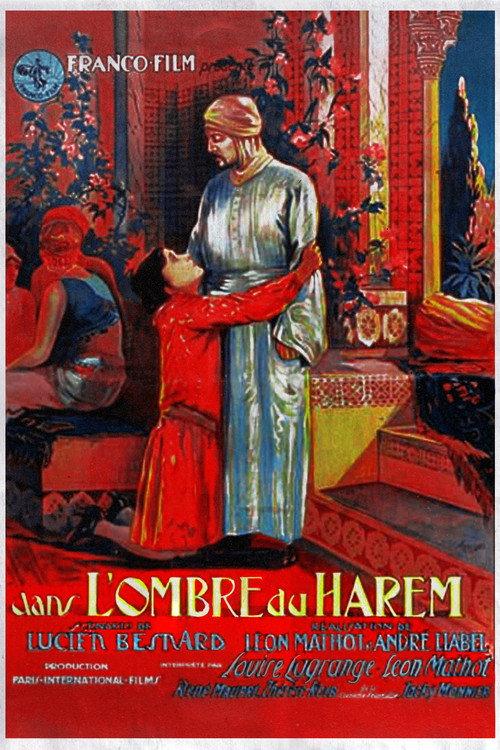 In the Shadow of the Harem 1928 official movie poster