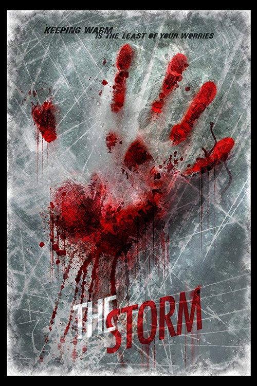 The Storm 2013 official movie poster
