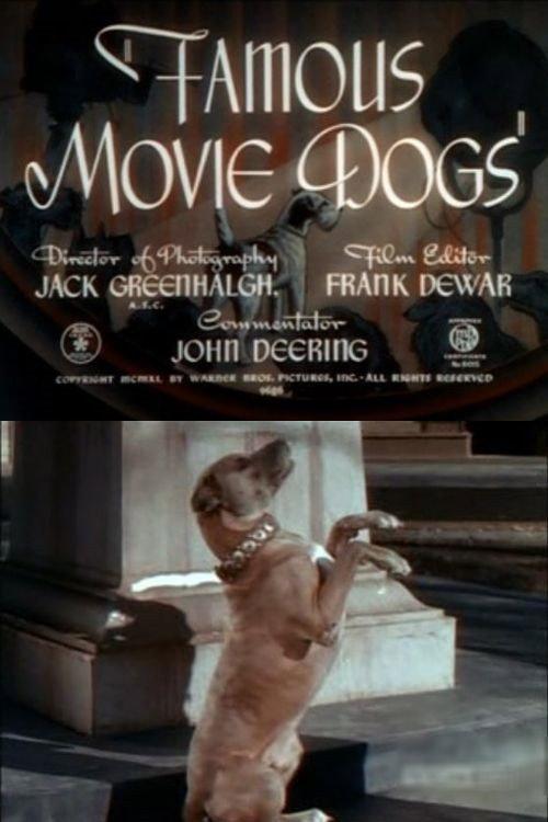 Famous Movie Dogs 1940 official movie poster