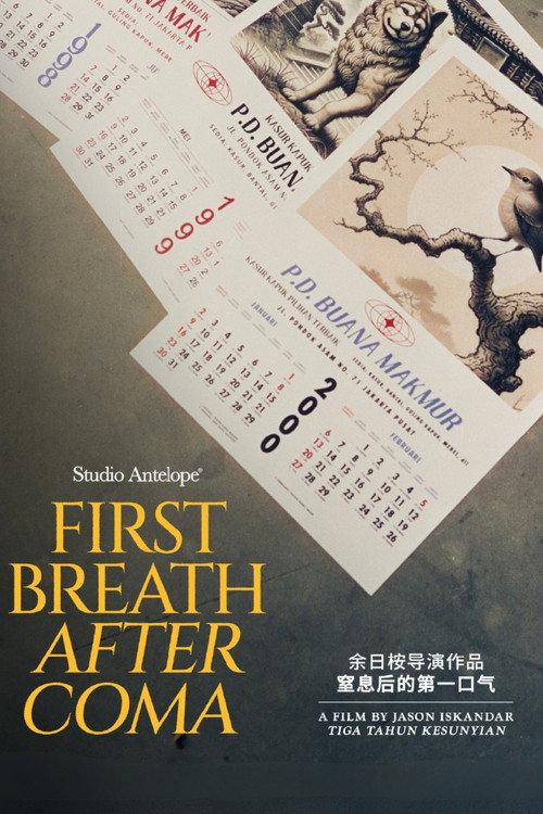 First Breath After Coma  official movie poster