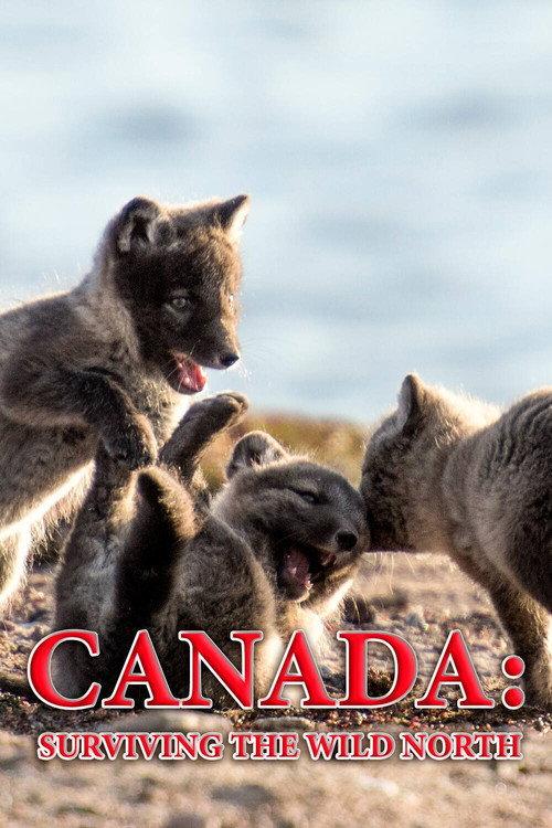 Canada: Surviving the Wild North 2022 official movie poster