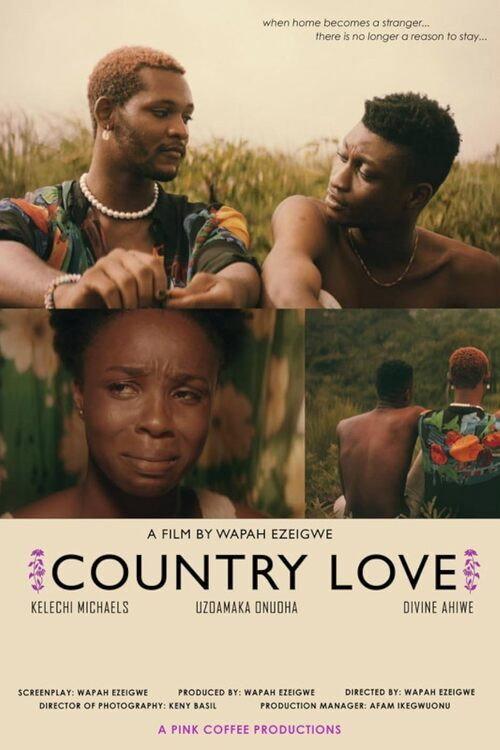 Country Love 2022 official movie poster