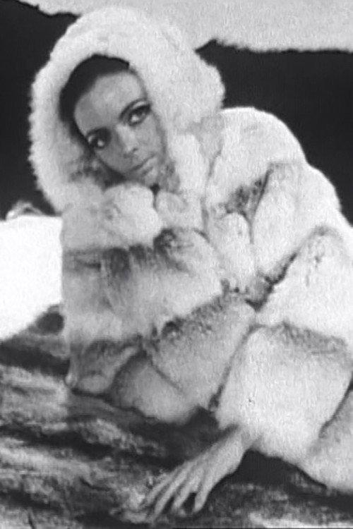 Barbara and Her Furs 1967 official movie poster