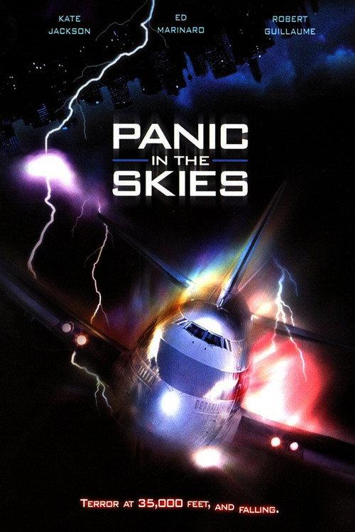 Panic in the Skies! 1996 official movie poster