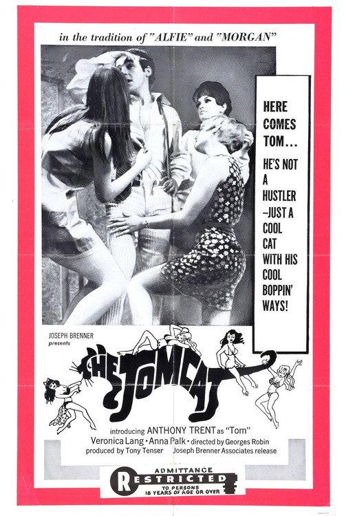 Mini Weekend 1968 official movie poster