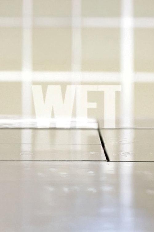 Wet 2010 official movie poster