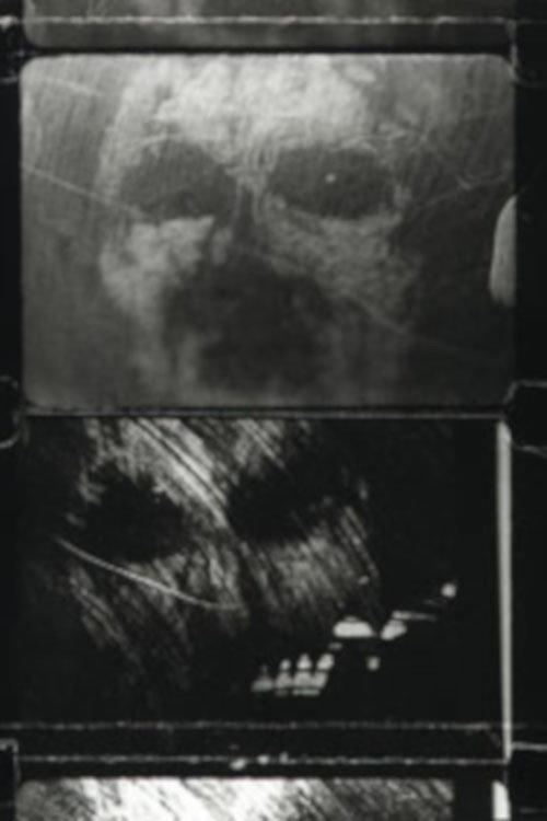 Face Caught in the Dark 1995 official movie poster