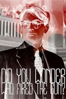 Did You Wonder Who Fired the Gun? 2017 official movie poster