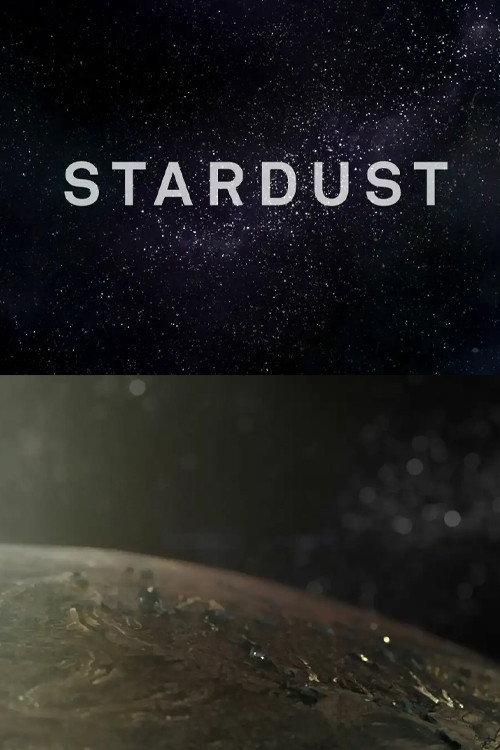 Stardust 2013 official movie poster