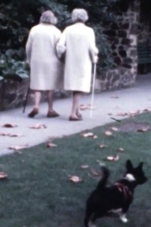 We Are All Alone My Dear 1977 official movie poster