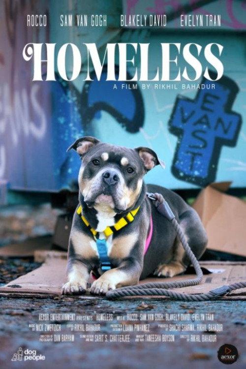 Homeless 2024 official movie poster