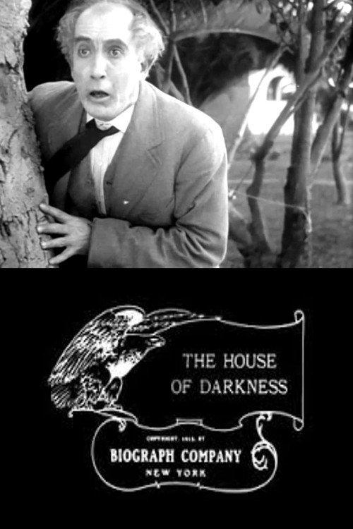 The House of Darkness 1913 official movie poster