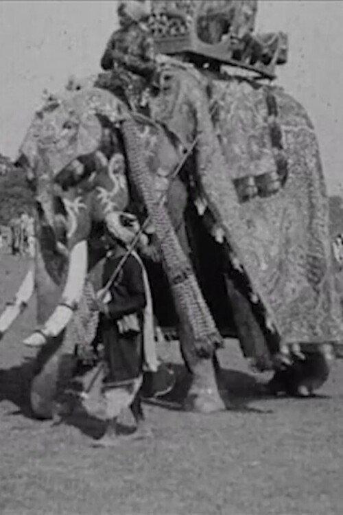 Calcutta Pageant 1912 official movie poster