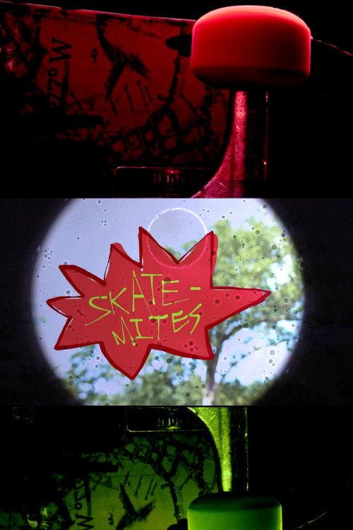SKATE-MITES official movie poster