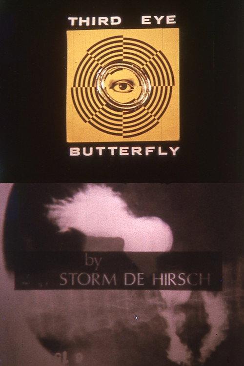 Third Eye Butterfly 1968 official movie poster