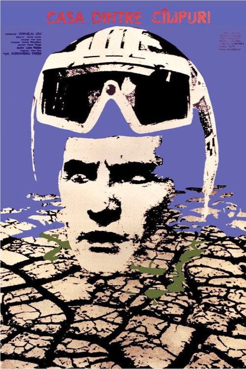 The House Between the Fields 1980 official movie poster
