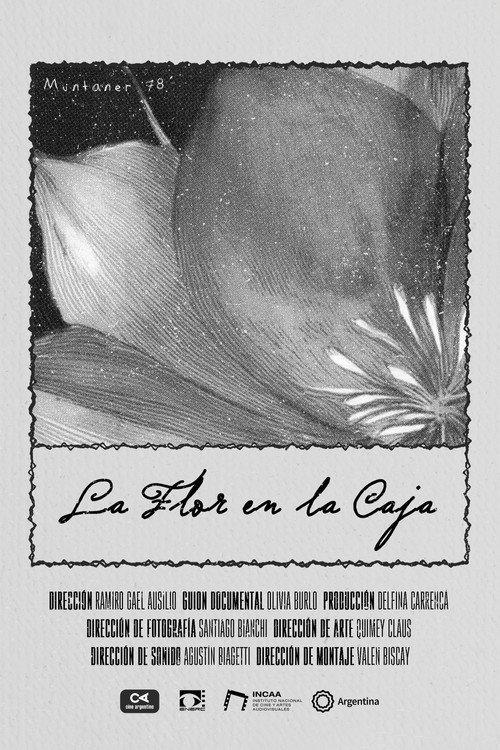 The Flower in the Box 2025 official movie poster