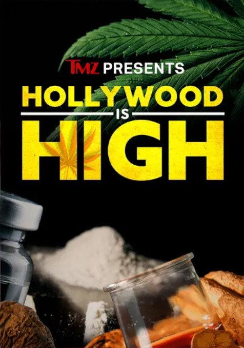 TMZ Presents: Hollywood is High 2024 official movie poster