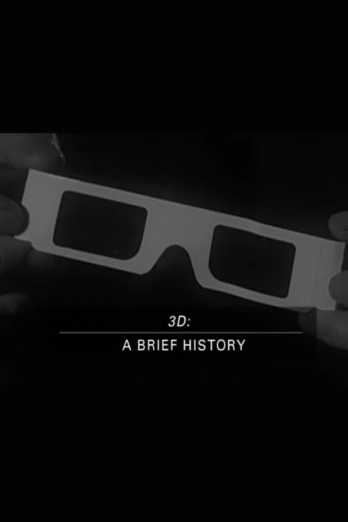 3D: A Brief History 2004 official movie poster