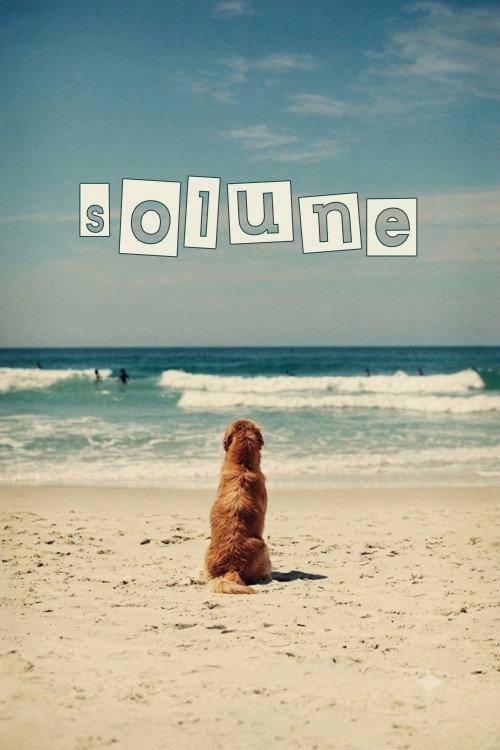 Solune 2024 official movie poster
