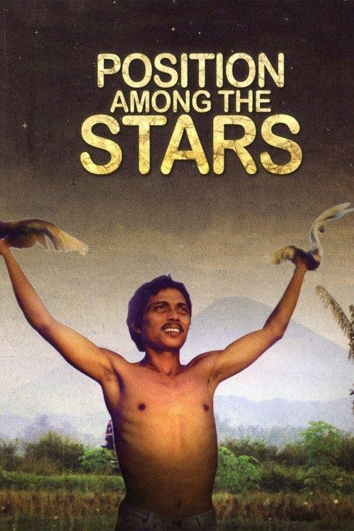 Position Among the Stars 2011 official movie poster
