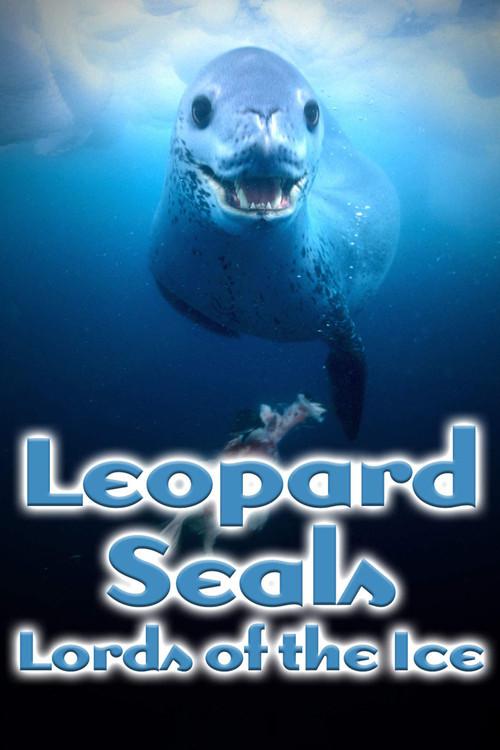 Leopard Seals: Lords of the Ice 2004 official movie poster