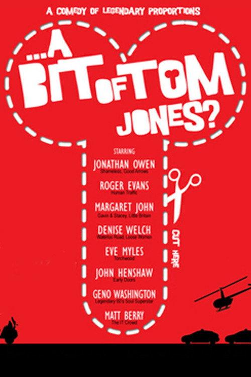 A Bit of Tom Jones? 2009 official movie poster