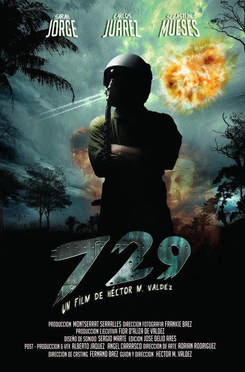#729 2011 official movie poster