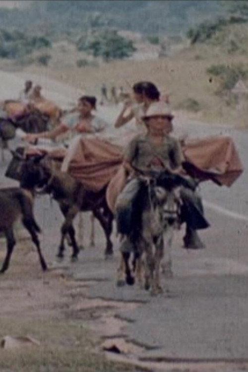 Ciganos do Nordeste 1977 official movie poster
