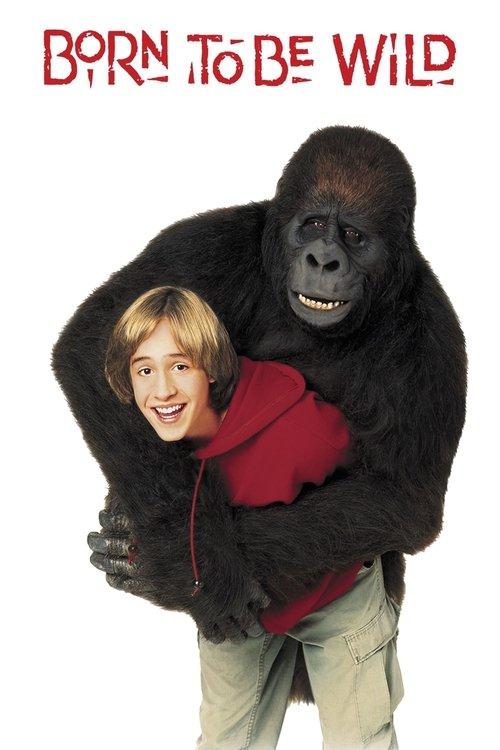 Born to Be Wild 1995 official movie poster
