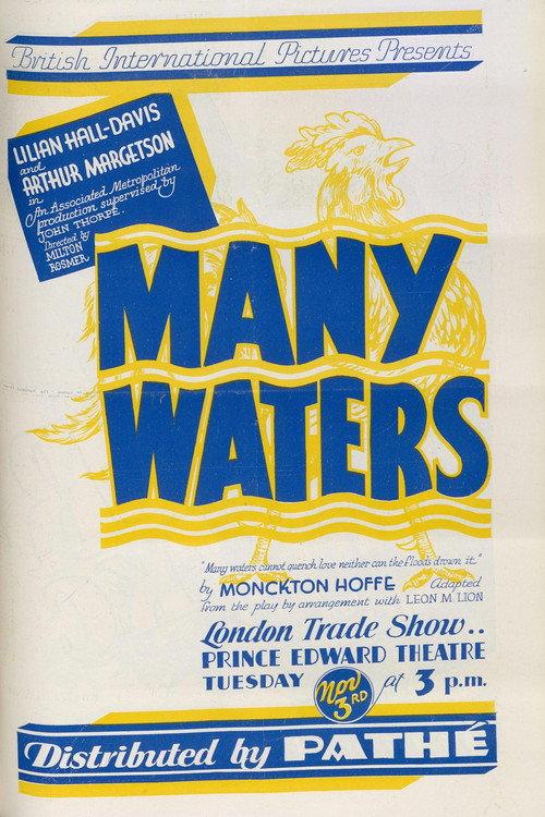 Many Waters 1931 official movie poster