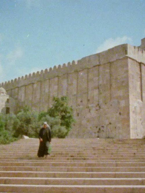 Souvenirs from Hebron 1982 official movie poster