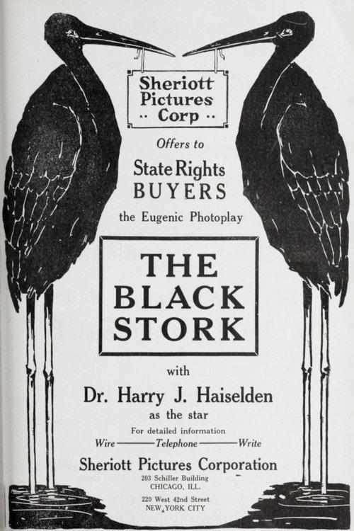 The Black Stork 1917 official movie poster