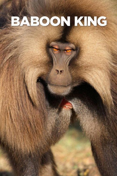 Baboon King 2017 official movie poster