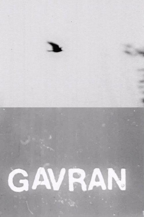 The Raven 1973 official movie poster