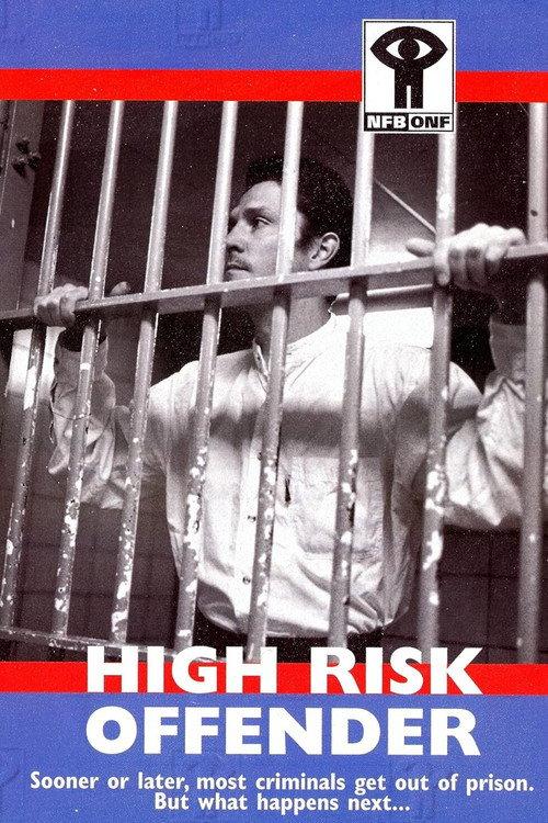 High Risk Offender 1998 official movie poster