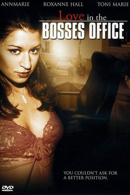 Love in the Bosses Office 2006 official movie poster