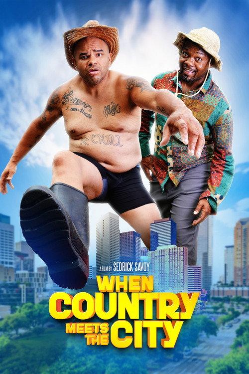 When Country Meets the City  official movie poster