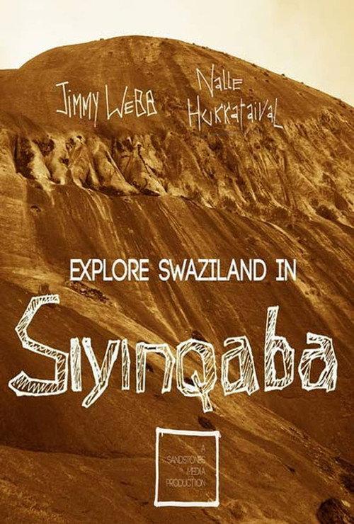 Siyinqaba 2015 official movie poster