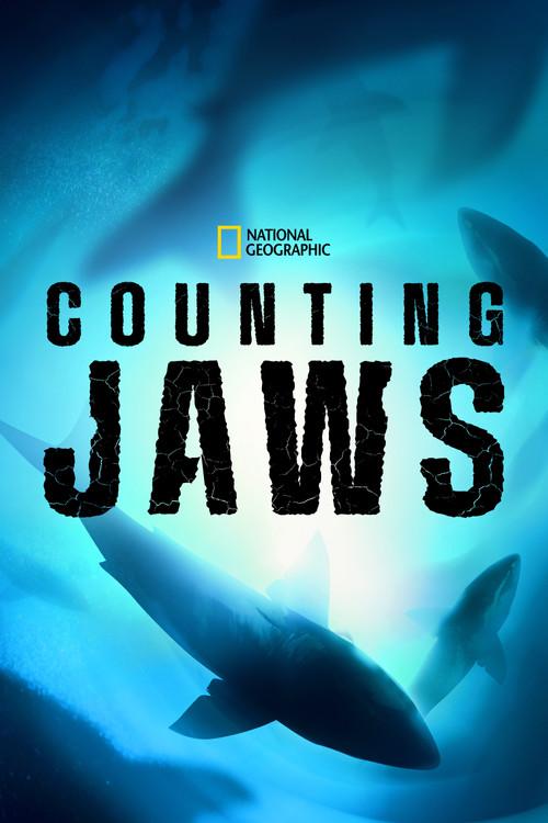Counting Jaws 2022 official movie poster
