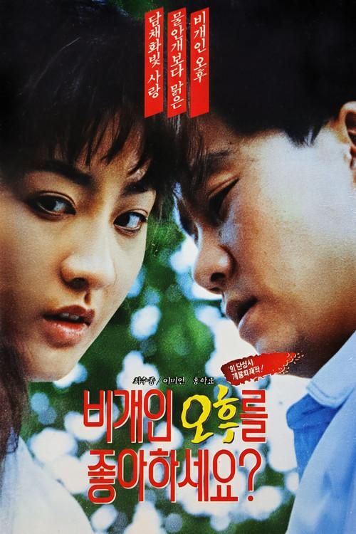 Do You Like Afternoons After a Storm? 1991 official movie poster
