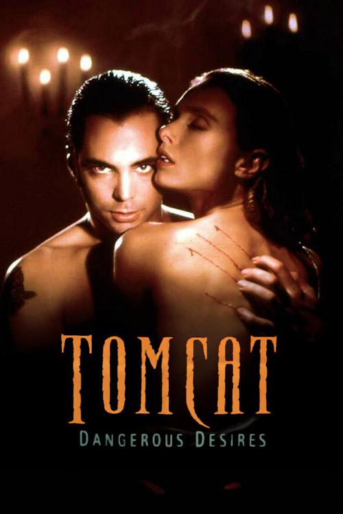Tomcat: Dangerous Desires 1993 official movie poster