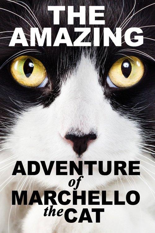 A Cat's Tale 2008 official movie poster