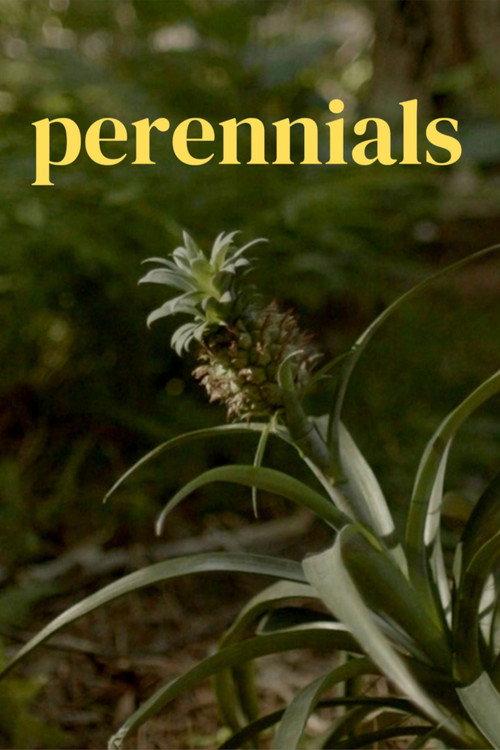 perennials 2022 official movie poster