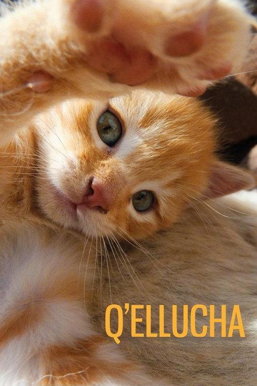 Q’ellucha 2017 official movie poster